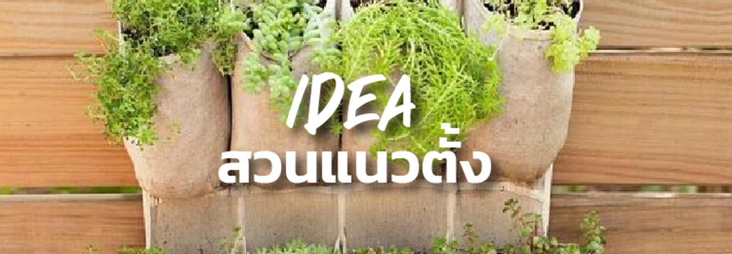ไอเดียจัดสวนแนวตั้ง