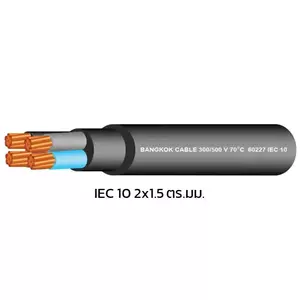 สายไฟ IEC10 / IEC10-G