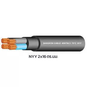 สายไฟ NYY 2x16
