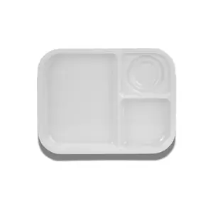 ถาดหลุม