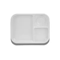 ถาดหลุม