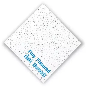 แผ่นยิปซั่ม 60x60 ซม.