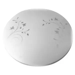 โคมไฟเพดาน 24 วัตต์ โคมไฟเพดาน LED 24 วัตต์