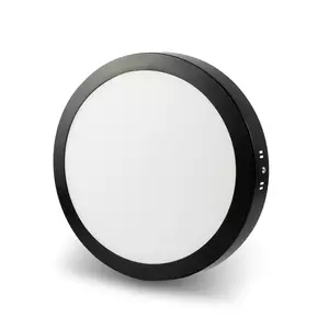 โคมดาวน์ไลท์ 12 นิ้ว