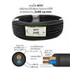 สายไฟ NYY 2x95