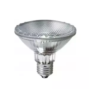 หลอดไส้ 120w