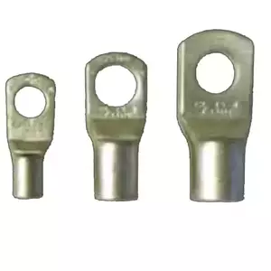 หางปลาทองแดง