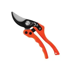 กรรไกรตัดแต่ง