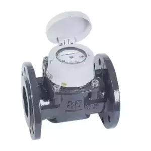 มิเตอร์น้ำ 10 นิ้ว