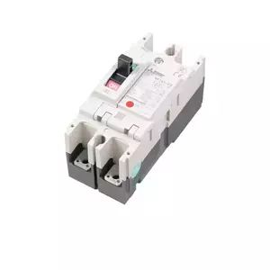 Circuit Breakers 100A
