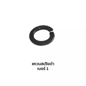 แหวนสปริง