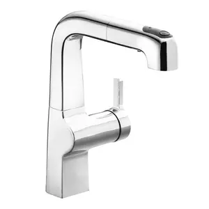 ก๊อกอ่างล้างจาน