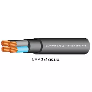 สายไฟ NYY 3x1
