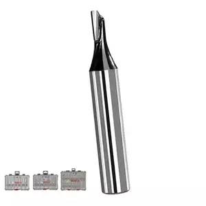 ดอกเร้าเตอร์