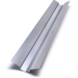 รางน้ำตะเข้