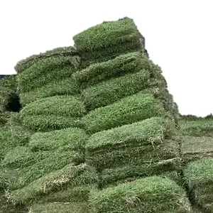 หญ้าจริง