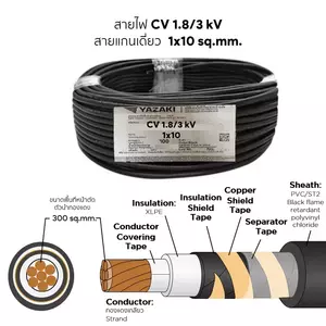สายไฟ CV 1x10