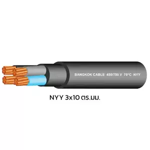 สายไฟ NYY 3x10