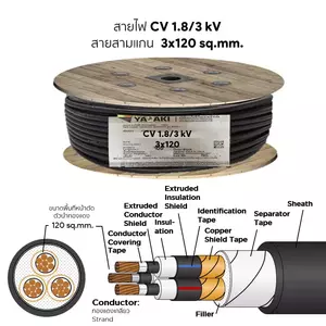 สายไฟ CV 3x120