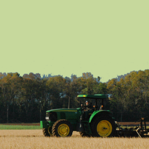 เครื่องมือช่างไม้ เครื่องมือเกษตร เครื่องตัดหญ้า เครื่องมือขุดดิน สแลนกันแดด