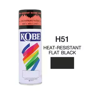 สีสเปรย์เคลือบพิเศษ  