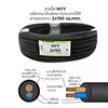 สายไฟ NYY 2x150