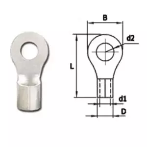 หางปลากลม