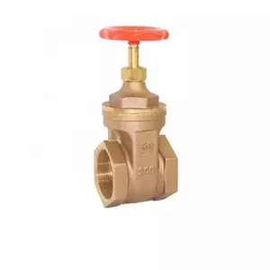 เกทวาล์ว 2 นิ้ว