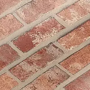 ฟิลม์ภายใน ปูนซีเมนต์