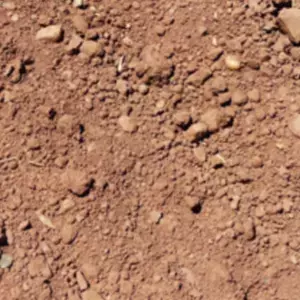 ดินดาน ซีแล๊ก