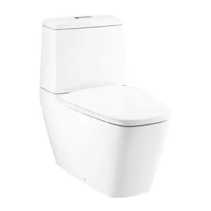 สุขภัณฑ์สองชิ้น 4.8 ลิตร