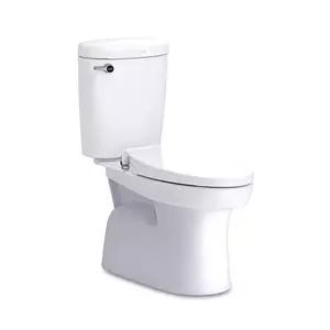 สุขภัณฑ์สองชิ้น ชักโครกสองชิ้น