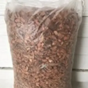 กาบมะพร้าว กาบมะพร้าว ปลูกต้นไม้