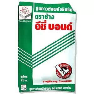 ปูนกาวยิปซั่ม