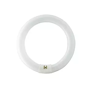 หลอดไฟนีออนกลม