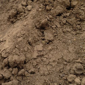 หน้าดิน