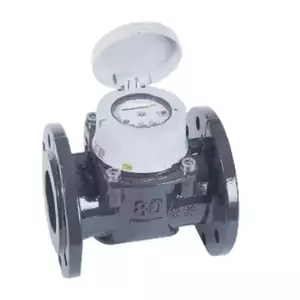 มิเตอร์น้ำ 8 นิ้ว