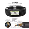 สายไฟ NYY 4x150