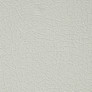 ฟิลม์ภายใน ลายหนัง