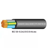 สายไฟ IEC 53-G 2x2.5/2.5 ตร.มม. BCC