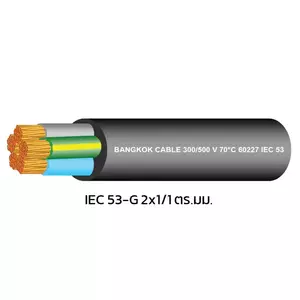 สายไฟ IEC 53-G 2x1/1 ตร.มม. BCC 100 เมตร