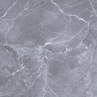 CAMPANA Floor Tile 40x40 cm HULK GREY R GLOSS A