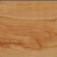 กระเบื้องยางไวนิลปูพื้น รุ่น Dynoflex Wood Series 2 DYNOFLEX WE 1062