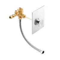 KOHLER K-77692X-G Flush Valve