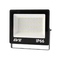 EVE BEST 30 Watt DAYLIGHT LED Outdoor Spotlight (1262554)