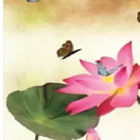 ดิจิตอลบอร์ด ลายธรรมชาติ2