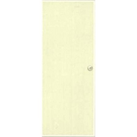 ประตูเหล็ก ภายนอก D1 PROFESSIONAL DOOR 79.2x199.4CM