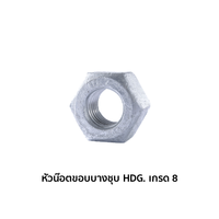 Jam Nuts HDG. G8 M10-1.5