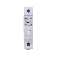 เบรกเกอร์ 63 แอมป์ MCB SAFE T CUT 1 Pole 6KA รุ่น SMT1