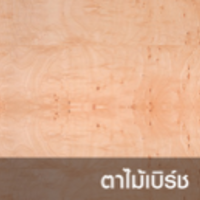 ดิจิตอลบอร์ด ลายไม้ ตาไม้เบิร์ช